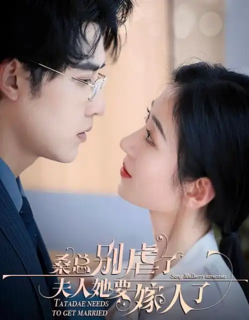 白色回声 电视剧全集免费观看